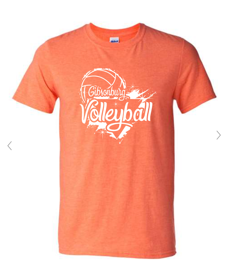 Biddy Volleyball FAN WEAR T-Shirts