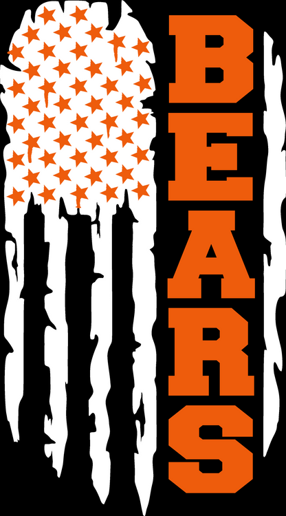 HEP Bears Flag