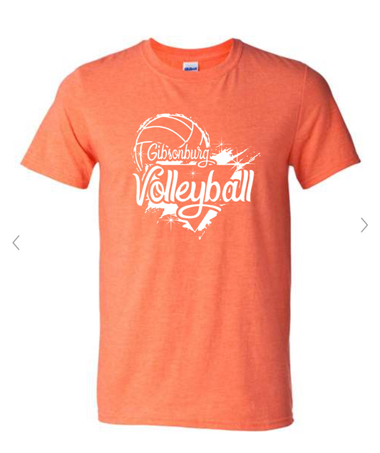 Biddy Volleyball FAN WEAR T-Shirts