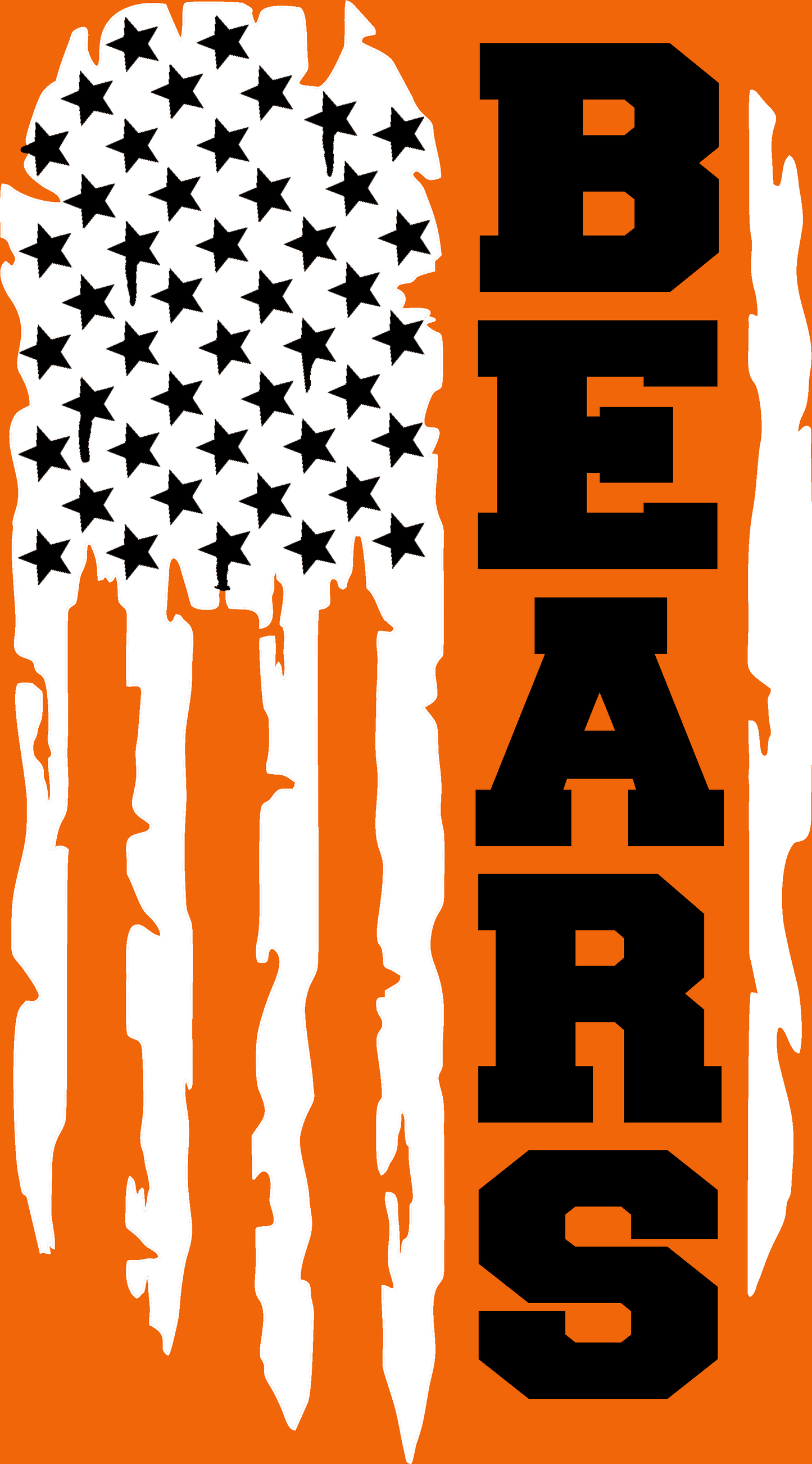 HEP Bears Flag